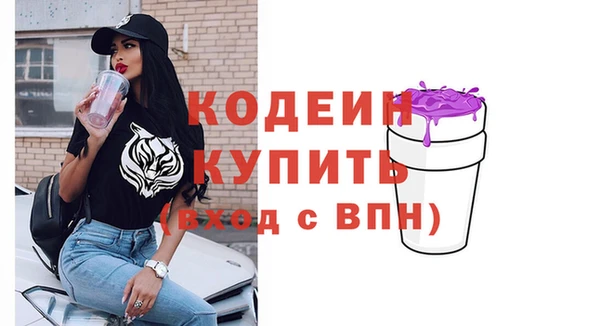 прущие грибы Надым
