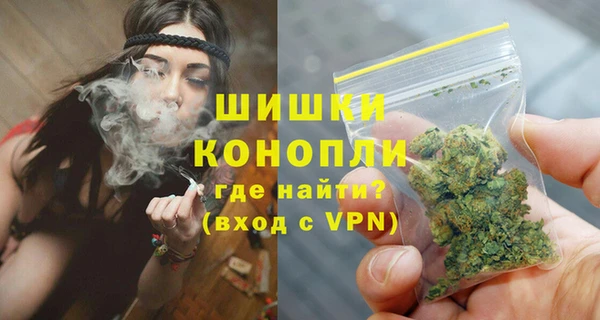 прущие грибы Надым